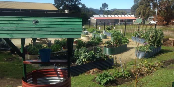 View of Rokeby's Community Garden